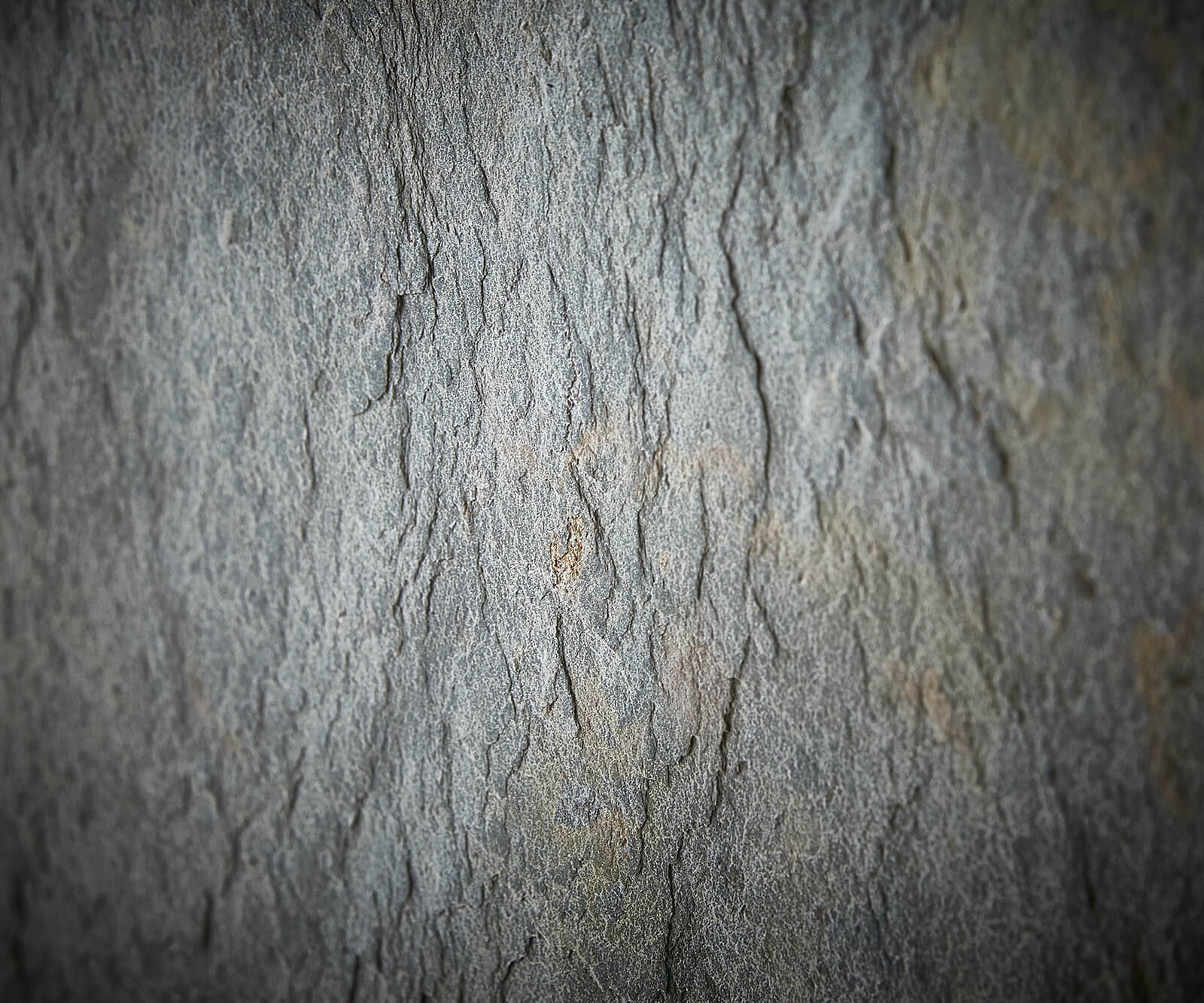 Kredens Juwelo 88x135cm akacja naturalna z fornirem kamiennym 3